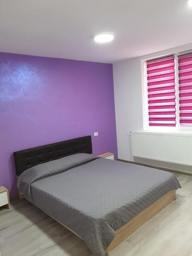 Apartament Negris Birlad Luaran gambar